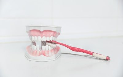 ¿Se puede vivir sin dientes?